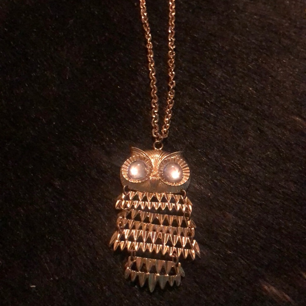 Super cute long owl necklace